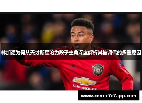 林加德为何从天才新星沦为段子主角深度解析其被调侃的多重原因