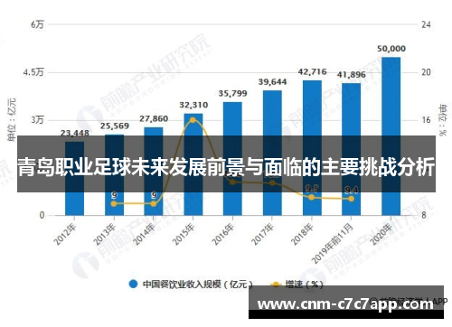 青岛职业足球未来发展前景与面临的主要挑战分析