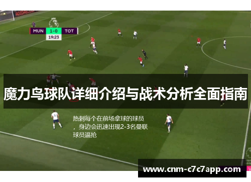 魔力鸟球队详细介绍与战术分析全面指南