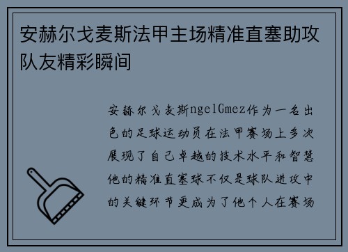 安赫尔戈麦斯法甲主场精准直塞助攻队友精彩瞬间