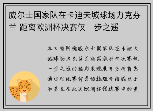 威尔士国家队在卡迪夫城球场力克芬兰 距离欧洲杯决赛仅一步之遥