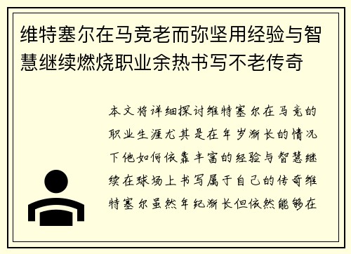维特塞尔在马竞老而弥坚用经验与智慧继续燃烧职业余热书写不老传奇 维特塞尔在马竞老而弥坚用经验与智慧继续燃烧职业余热书写不老传奇